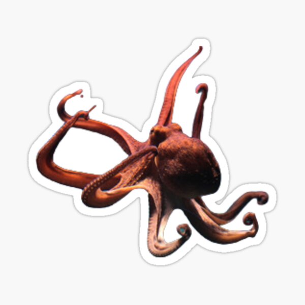 Giant Pacific octopus Sticker