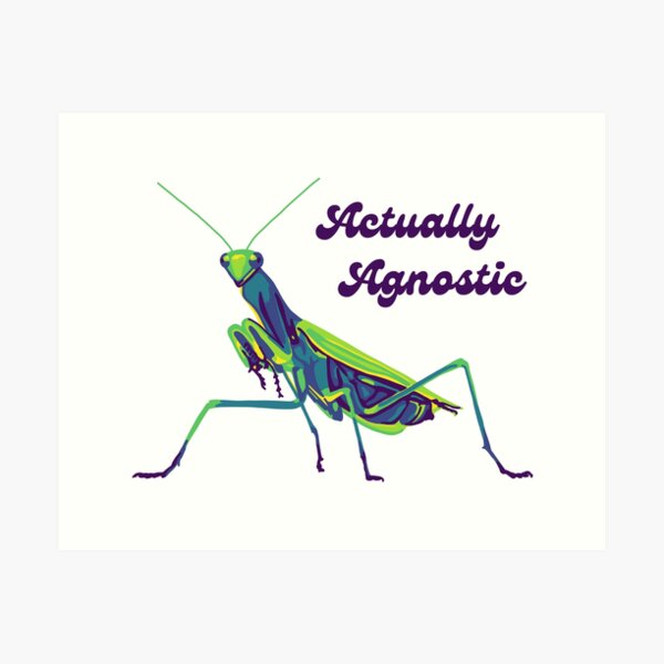 Item preview, Praying Mantis Is Agnostic designed and sold by Unhinged Heather.