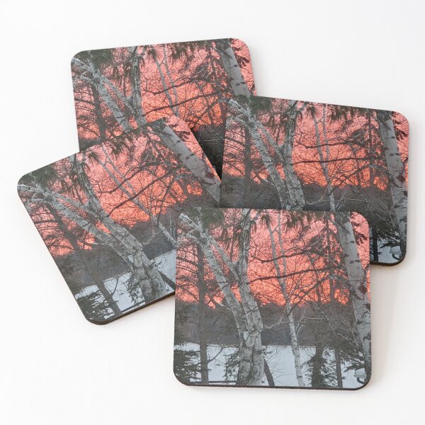Item preview, Hugging Birch at Sunrise on February 1, 2023 designed and sold by Debbie Center.