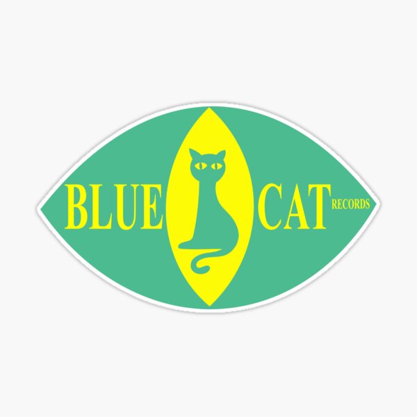 st,large,507x507-pad,600x600,