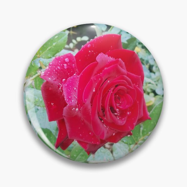 Item preview, Beautiful red rose after the rain  designed and sold by helenkaiy.
