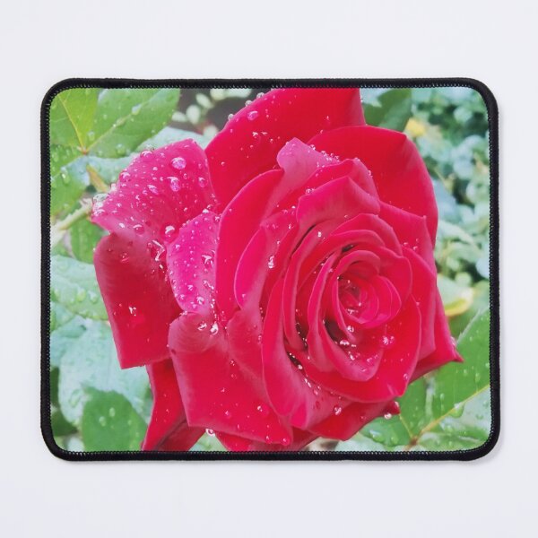 Item preview, Beautiful red rose after the rain  designed and sold by helenkaiy.