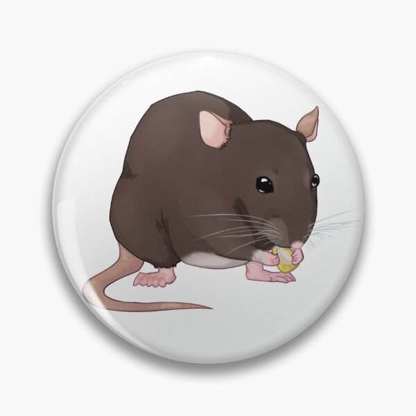 Item preview, Rat eating corn kernel designed and sold by Jakezdude.