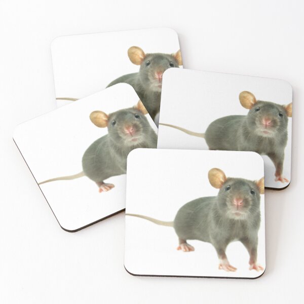Item preview, Brown rat designed and sold by MilicaaD.