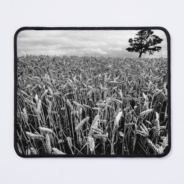 Item preview, Earn Your Corn designed and sold by Paul Thompson Photography.