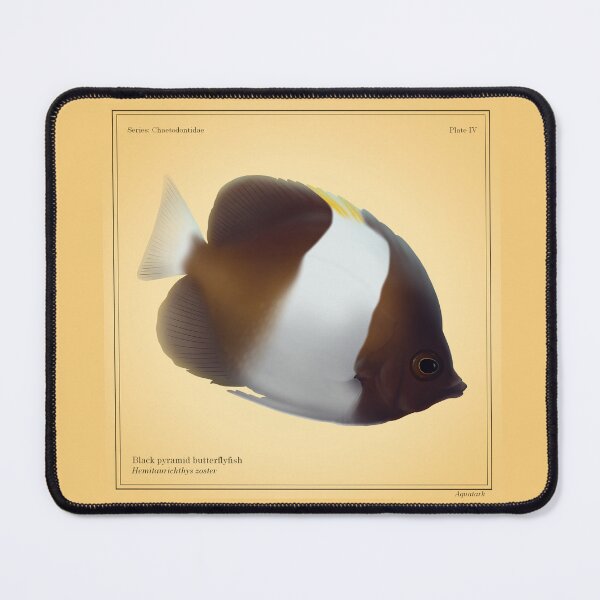 Item preview, Black Pyramid Butterflyfish designed and sold by aquatark.
