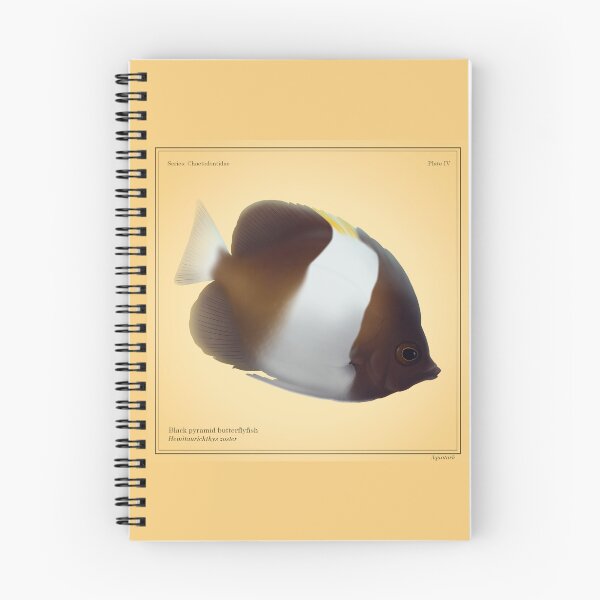 Item preview, Black Pyramid Butterflyfish designed and sold by aquatark.