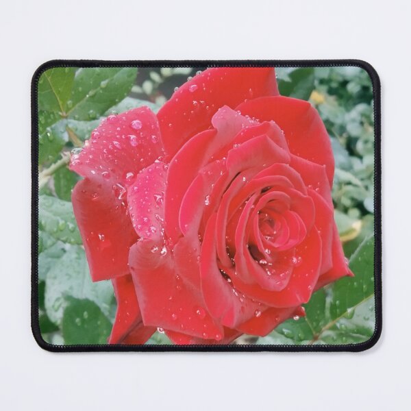 Item preview, Beautiful red rose after the rain  designed and sold by helenkaiy.
