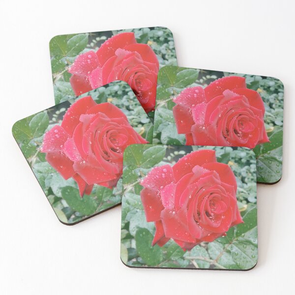 Item preview, Beautiful red rose after the rain  designed and sold by helenkaiy.