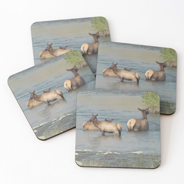 Item preview, Elks Family Enjoying The River During Summer Season designed and sold by evaszabo.