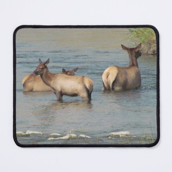 Item preview, Elks Family Enjoying The River During Summer Season designed and sold by evaszabo.