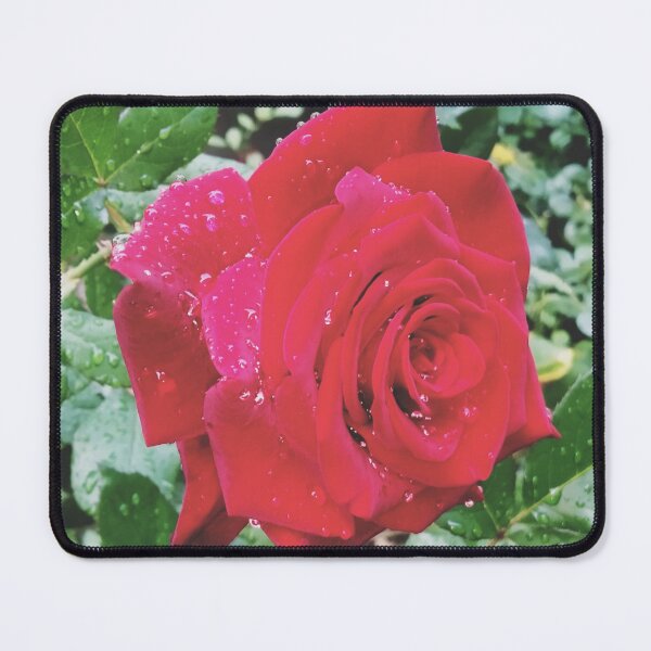 Item preview, Beautiful red rose after the rain  designed and sold by helenkaiy.