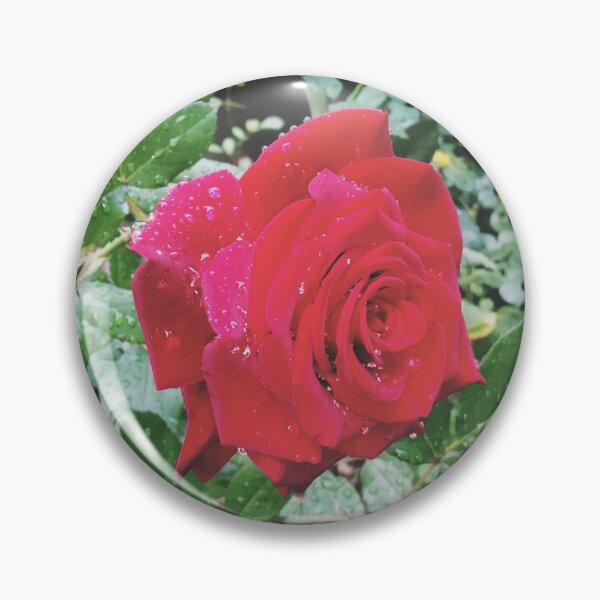 Item preview, Beautiful red rose after the rain  designed and sold by helenkaiy.