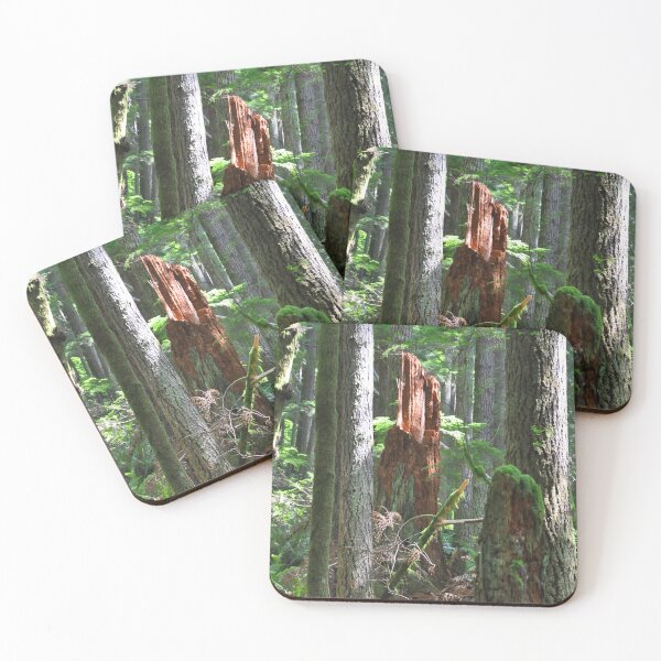 Item preview, Sunlit Forest Stump designed and sold by KirtTisdale.