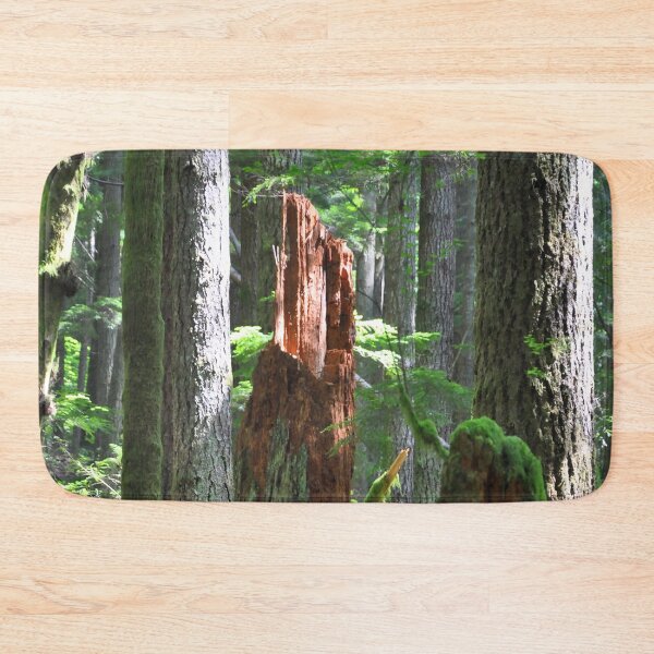 Item preview, Sunlit Forest Stump designed and sold by KirtTisdale.