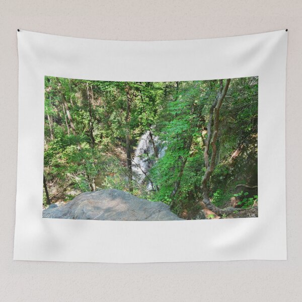 Item preview, Hidden Waterfall Below The Boulder designed and sold by LisaWootenPhoto.