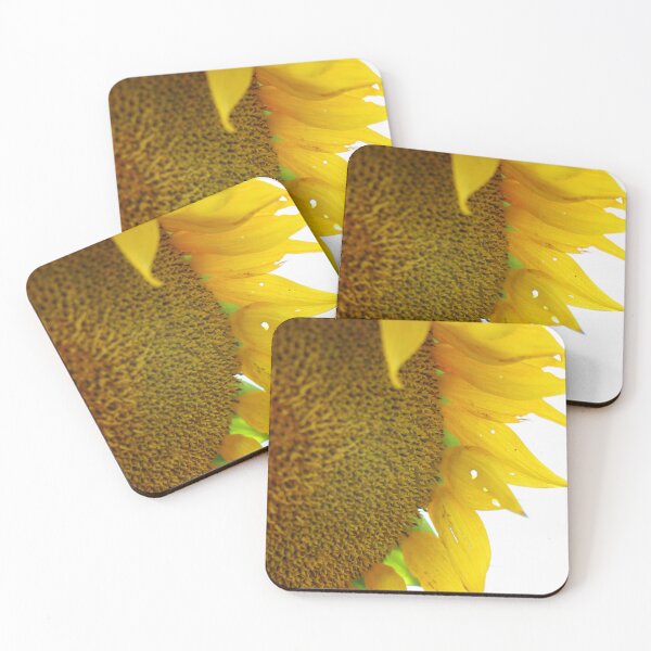 Aperçu de l'œuvre Le Tournesol créée et vendue par Olivia Plasencia.