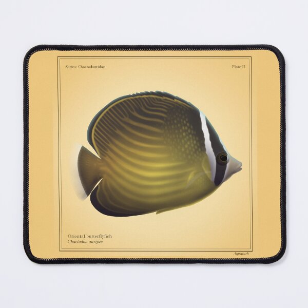 Item preview, Oriental Butterflyfish designed and sold by aquatark.