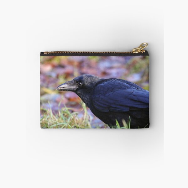Item preview, Carrion crow designed and sold by GreyFeatherPhot.