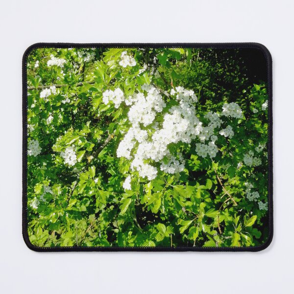 Item preview, May flowers designed and sold by Nickdavisinghe.