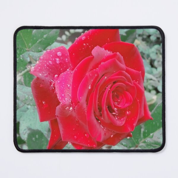 Item preview, Beautiful red rose after the rain  designed and sold by helenkaiy.