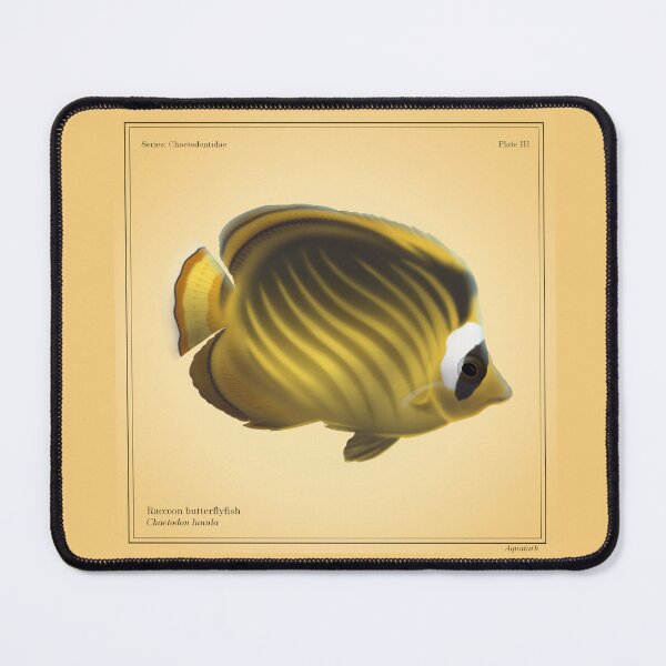 Item preview, Raccoon Butterflyfish designed and sold by aquatark.