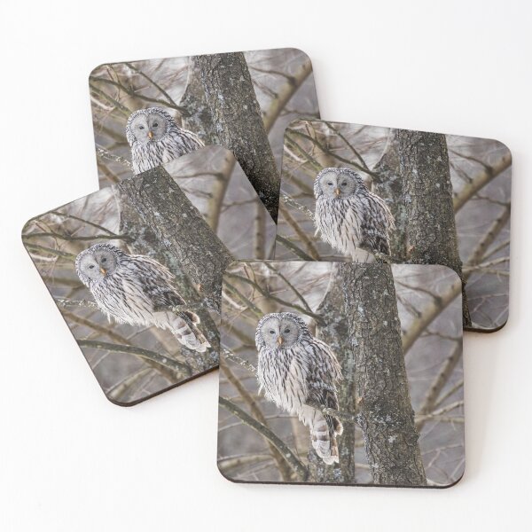 Item preview, Ural owl (Strix uralensis) designed and sold by Piotr Front.