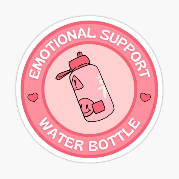 Cute Water Bottle Aesthetic Water Bottle Preppy Water Bottle Kawaii Water  Bottle Y2K Water Bottle Y2K Aesthetic Girly Bottle Back to School