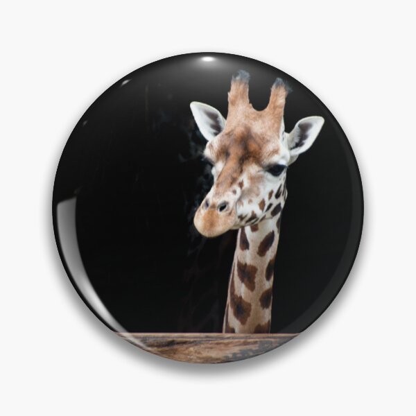 Item preview, Giraffe House designed and sold by N-JPhotography.