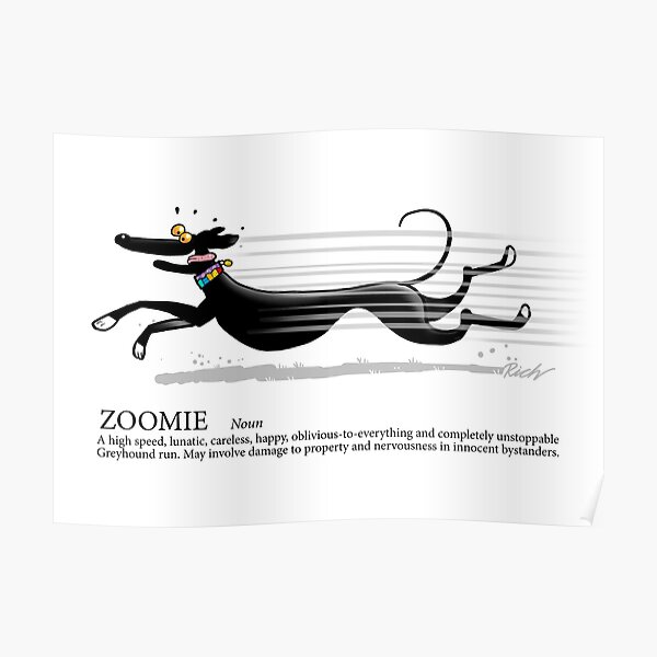 Greyhound Zoomie Poster