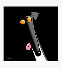 Derp in the Dark Photographic Print