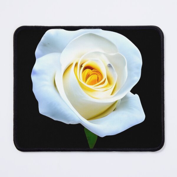 Item preview, Beautiful white rose flower artwork designed and sold by gramizzia.