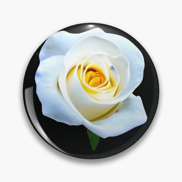 Item preview, Beautiful white rose flower artwork designed and sold by gramizzia.