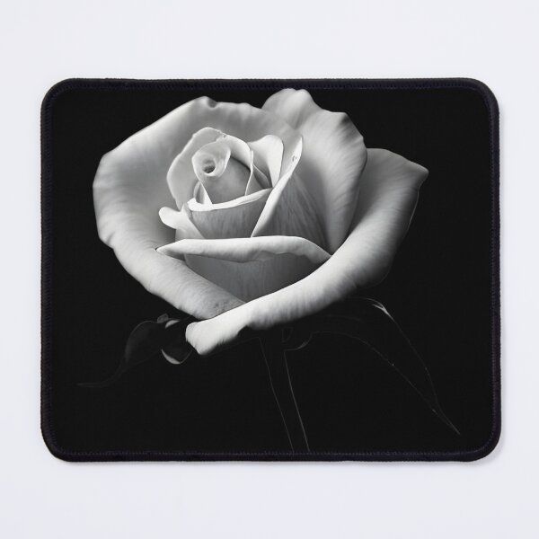 Item preview, Beautiful white rose flower artwork designed and sold by gramizzia.