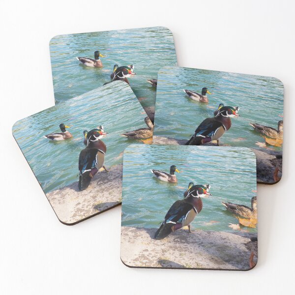 Item preview, Angry Wood Duck Standing Next To A Pond With a Mallard Duck Flock designed and sold by BackyardBirder.