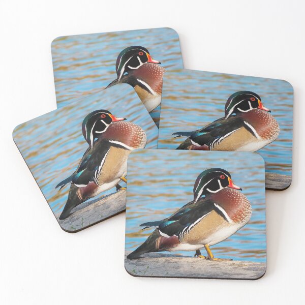 Item preview, Wood Duck Posing Next To a Pond designed and sold by BackyardBirder.