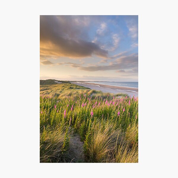 Item preview, Sunset at the beach in the summer time designed and sold by AnitaNicholson.