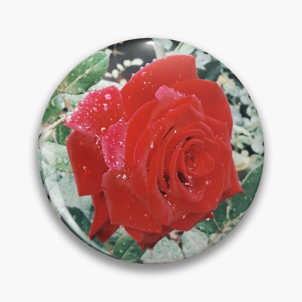 Item preview, Beautiful red rose after the rain  designed and sold by helenkaiy.