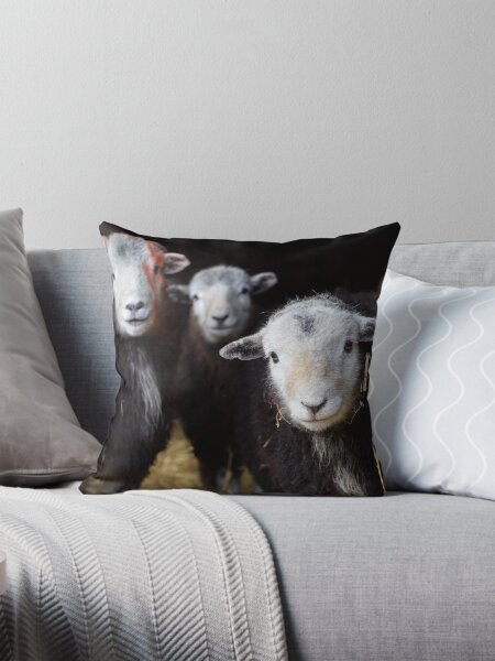 Vista previa del artículo con la obra «Ovejas Herdwick en un granero en Cumbria», diseñado y vendido por AnitaNicholson.