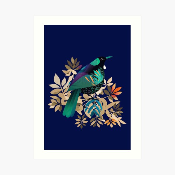 New Zealand Native Tui