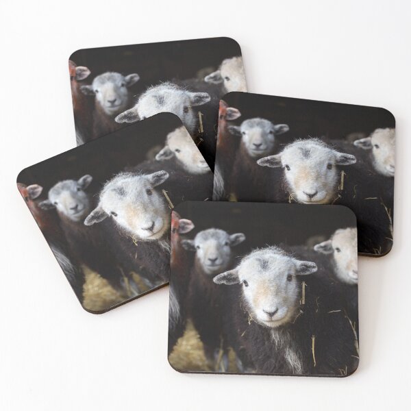 Item preview, Herdwick sheep in a barn in Cumbria designed and sold by AnitaNicholson.