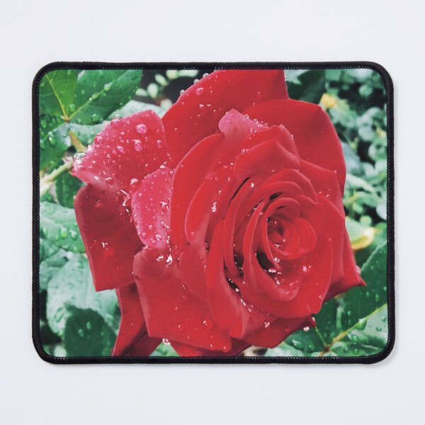 Item preview, Beautiful red rose after the rain  designed and sold by helenkaiy.
