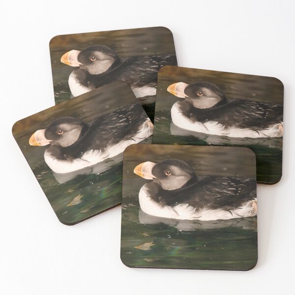 Item preview, Horned Puffin Goes for a Swim designed and sold by richardbryce.