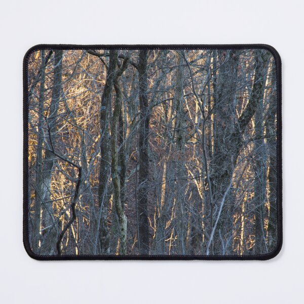 Item preview, Through the Trees designed and sold by amyericephoto.