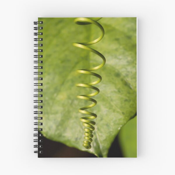 Item preview, Spiral designed and sold by amyericephoto.