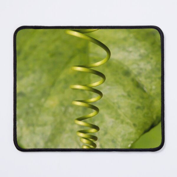 Item preview, Spiral designed and sold by amyericephoto.