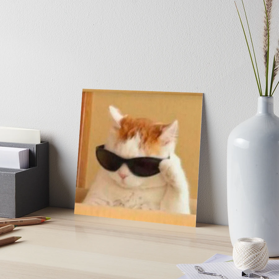 cat with glasses meme Art Board Print by valwerty