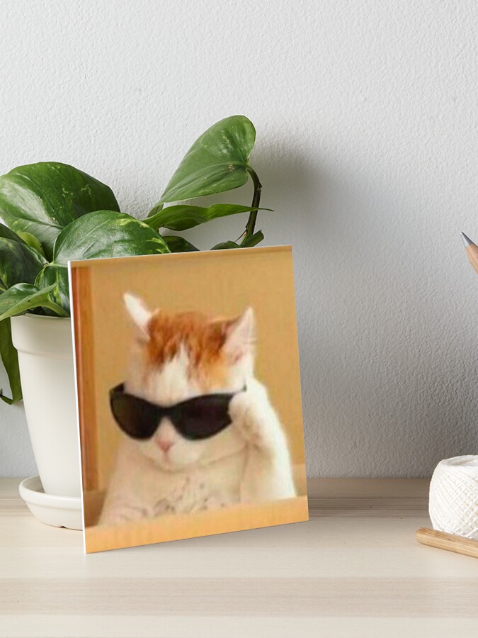 cat with glasses meme Art Board Print by valwerty
