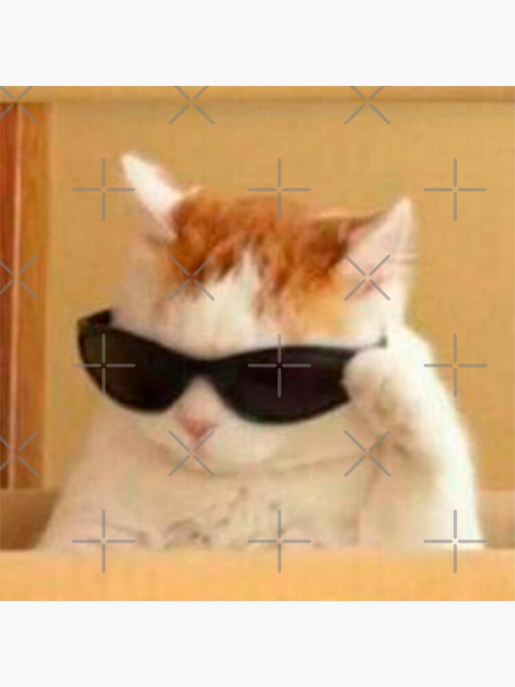 chat avec des lunettes meme Impression photo