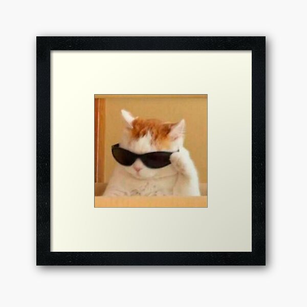 cat with glasses meme Art Board Print by valwerty